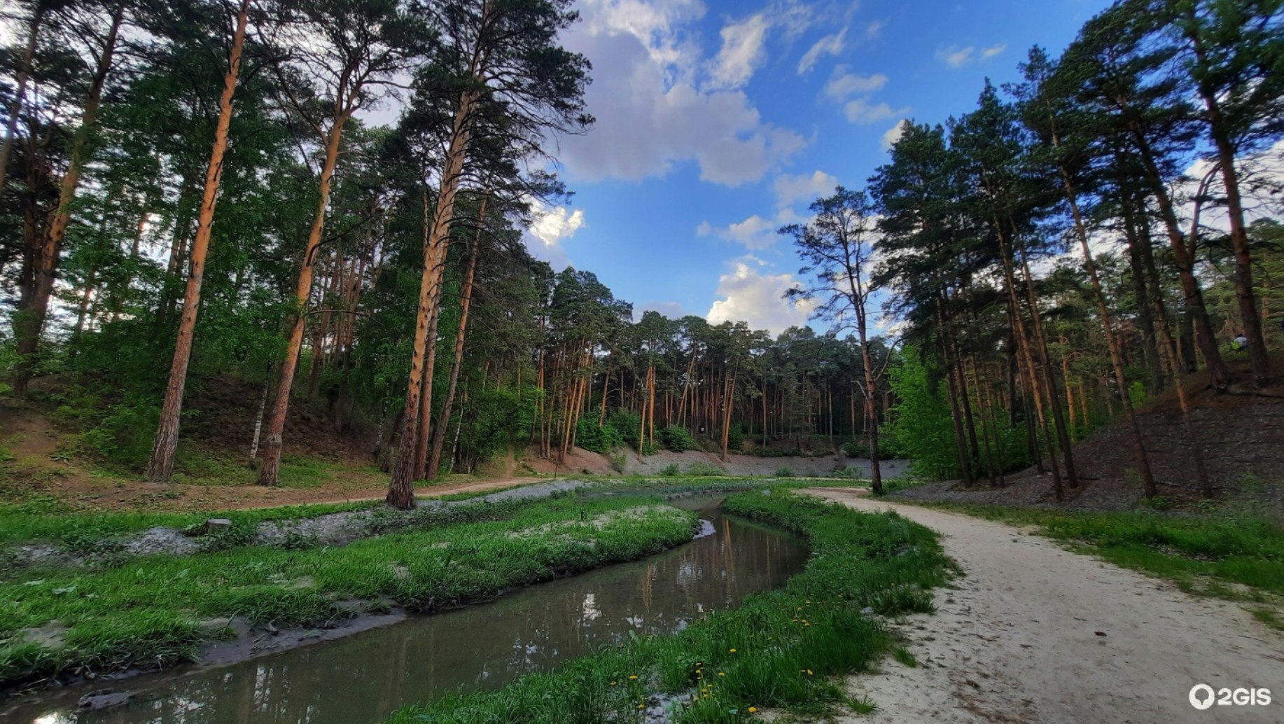 Гилевская роща