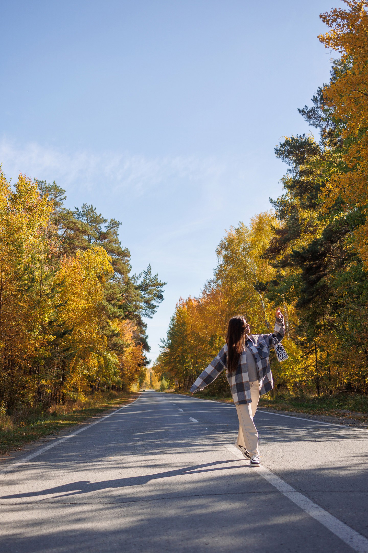Дорога на лесной пруд