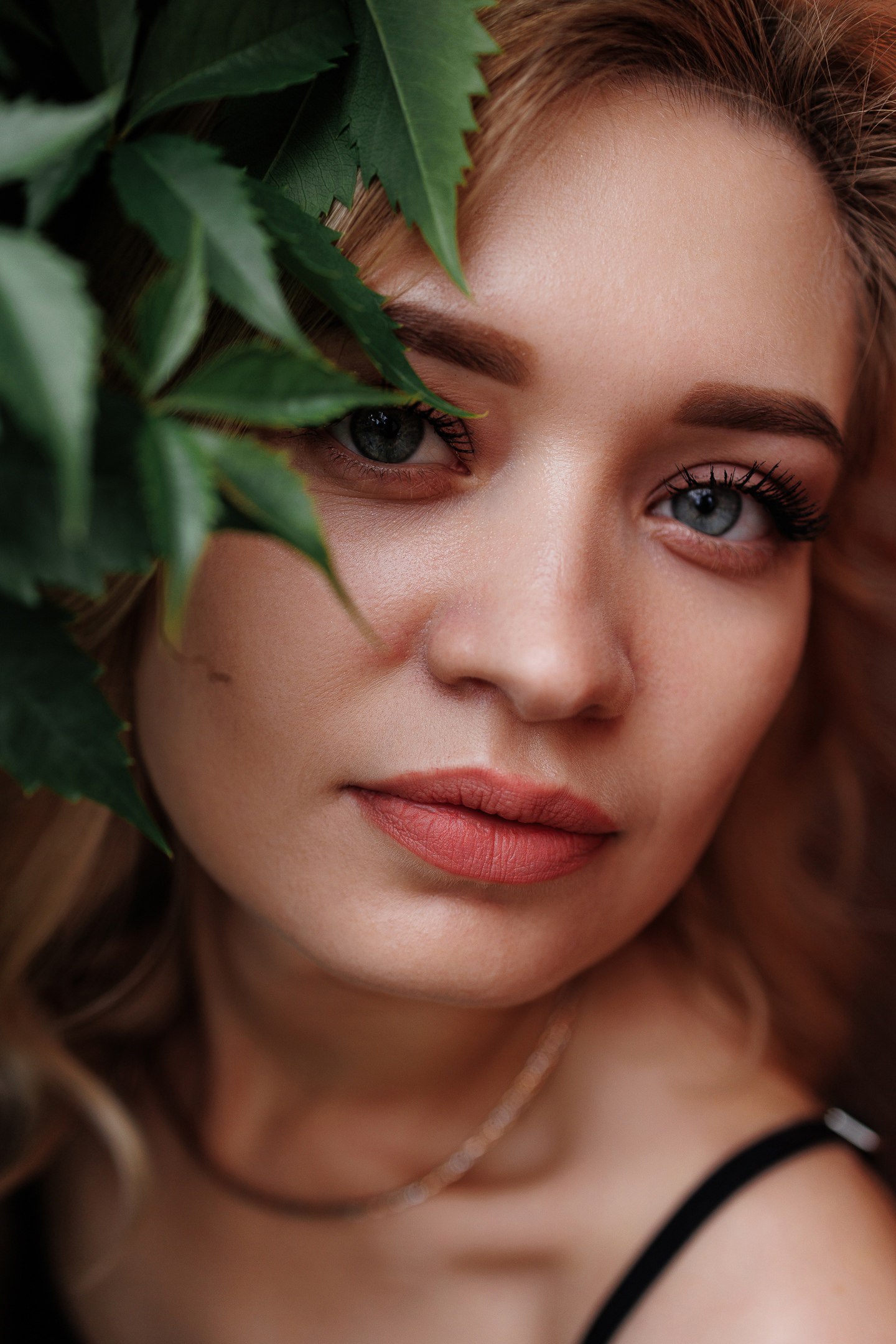 Зеленый уголок рядом с Вивальди