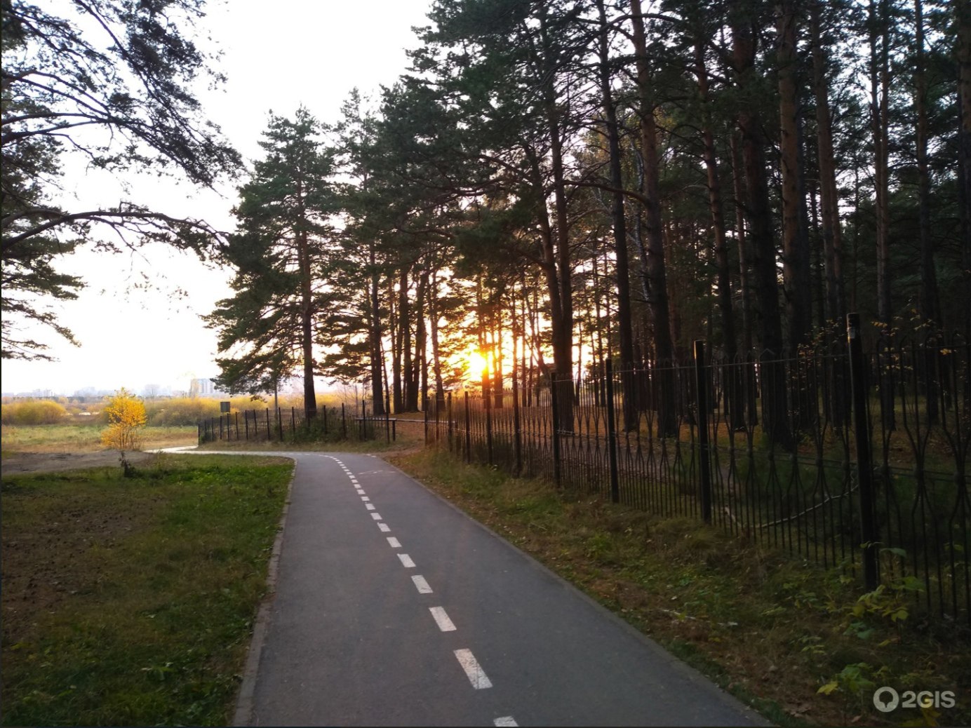 Лесопарк им. Ю.А. Гагарина