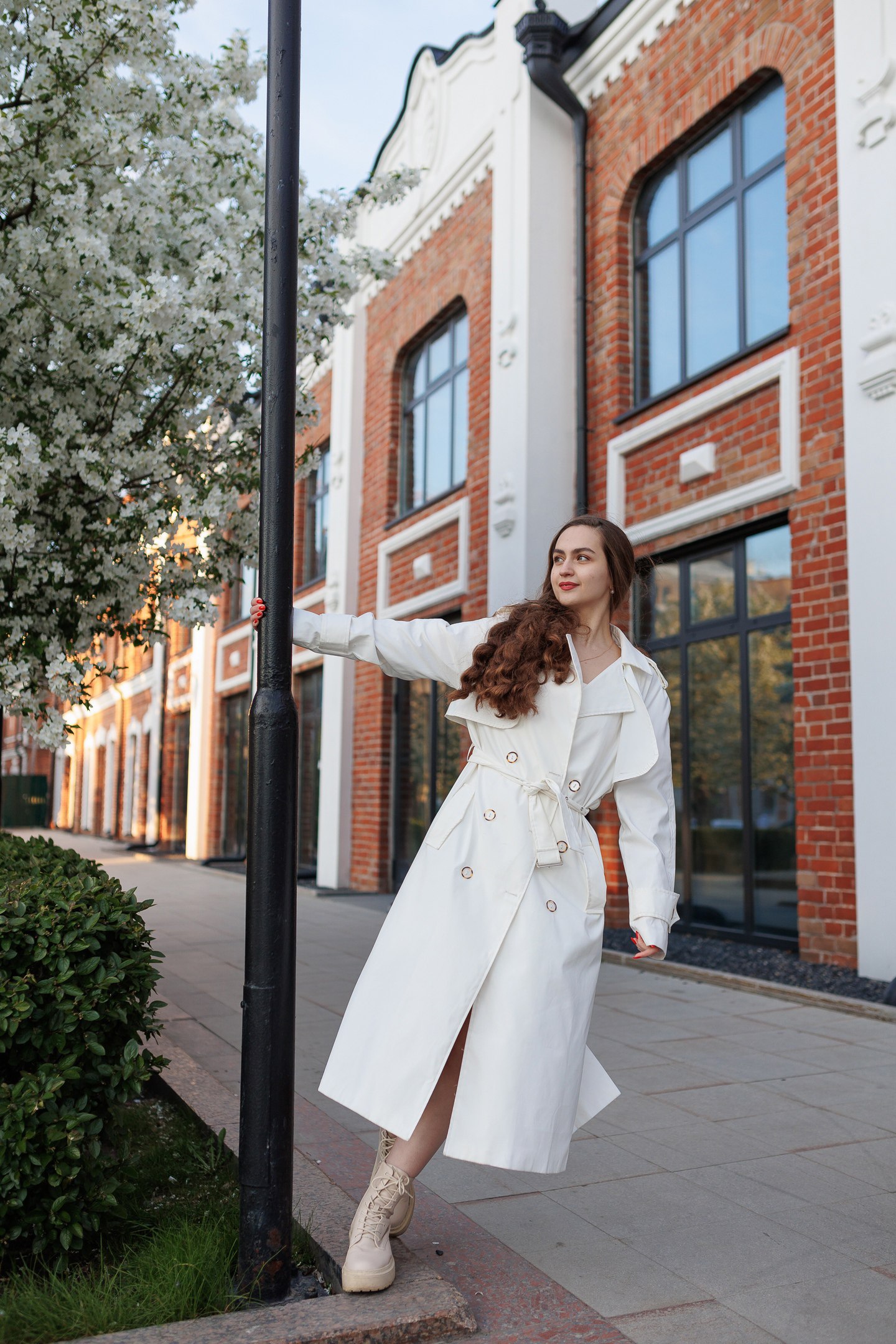 Сквер Сибирских кошек