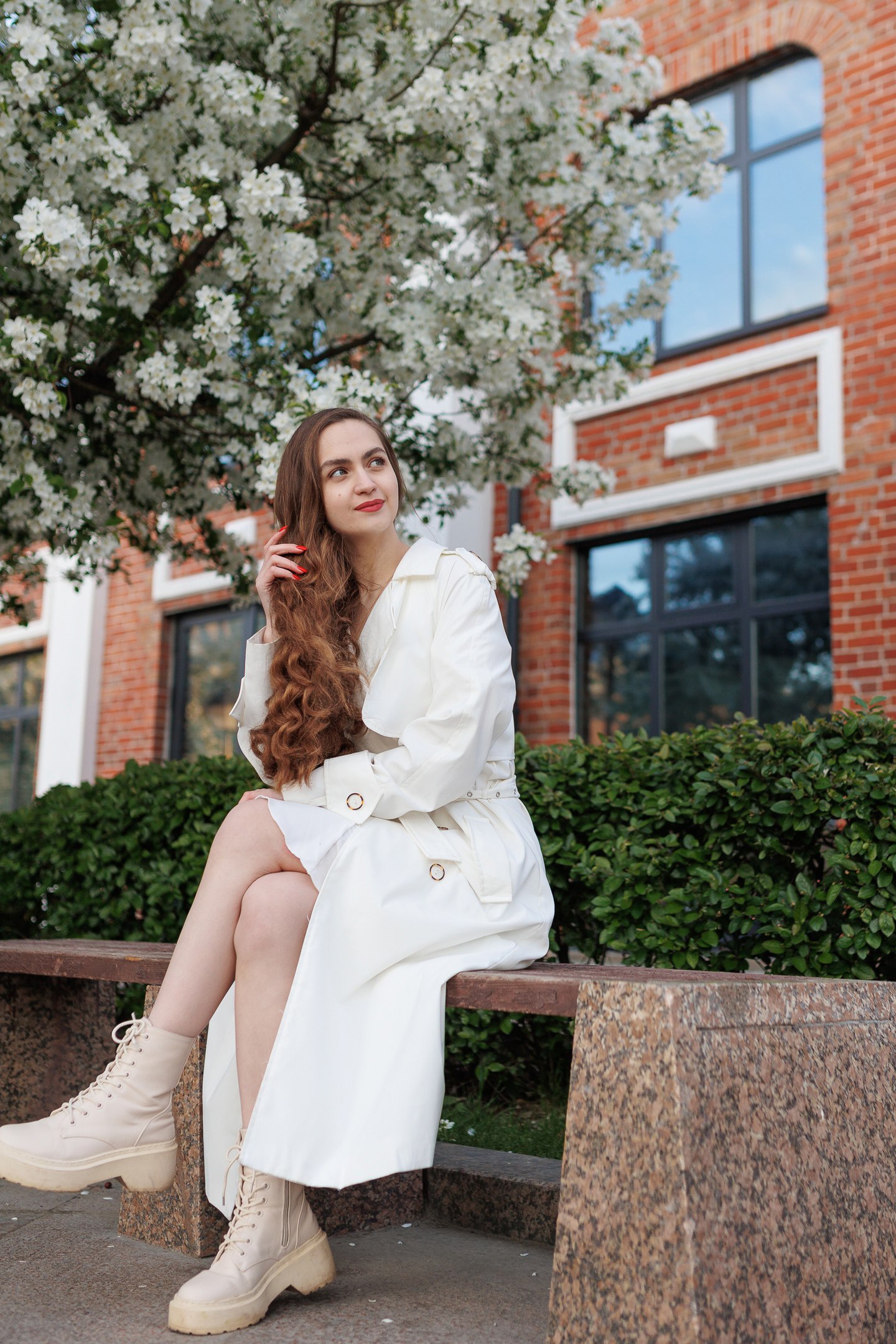 Сквер Сибирских кошек