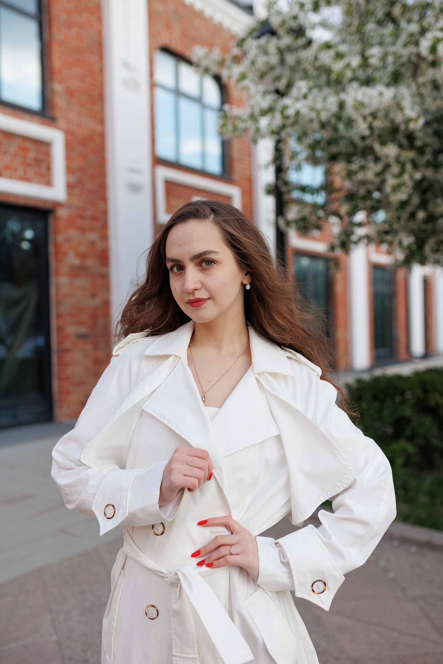 Сквер Сибирских кошек