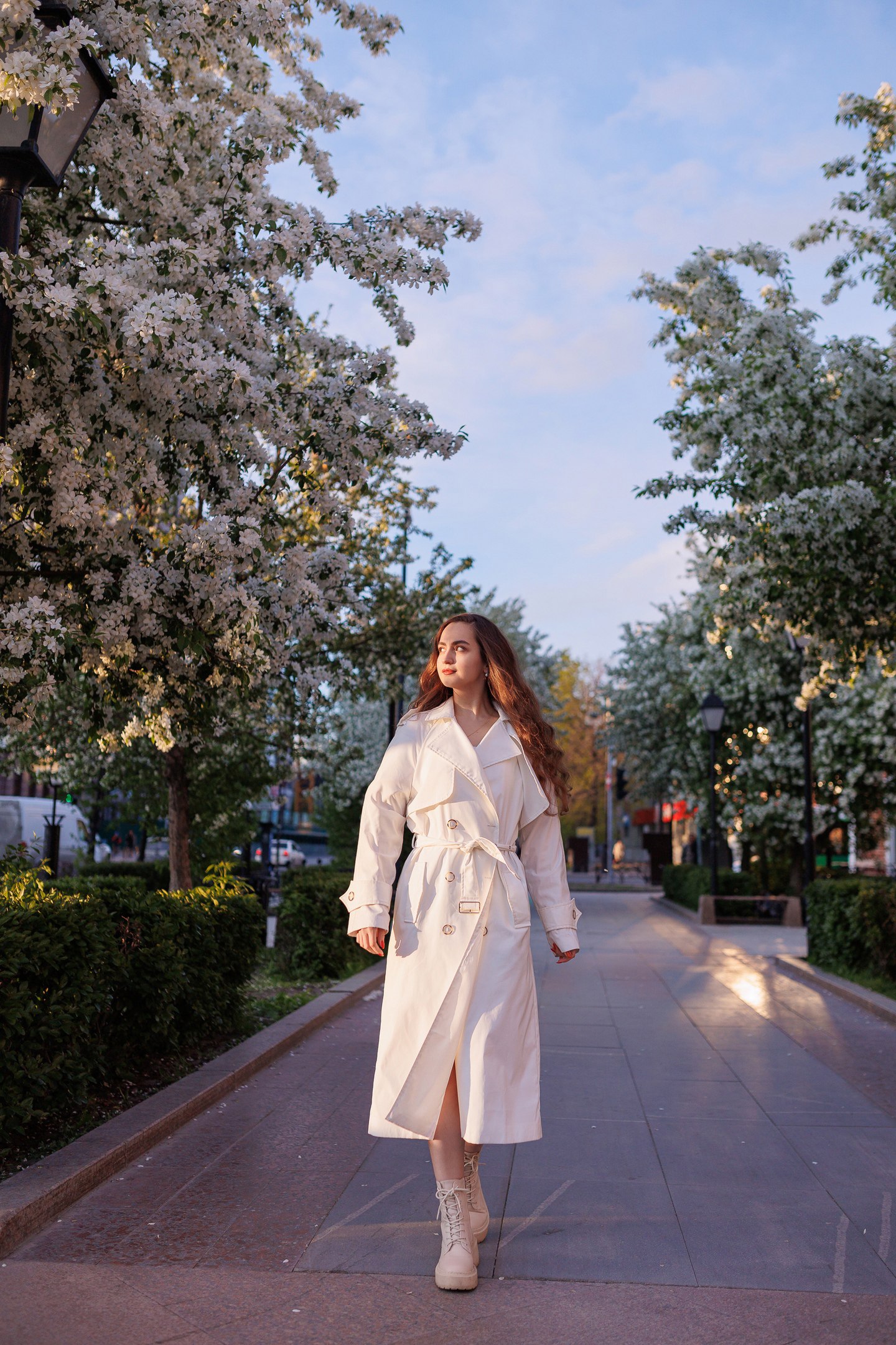 Сквер Сибирских кошек