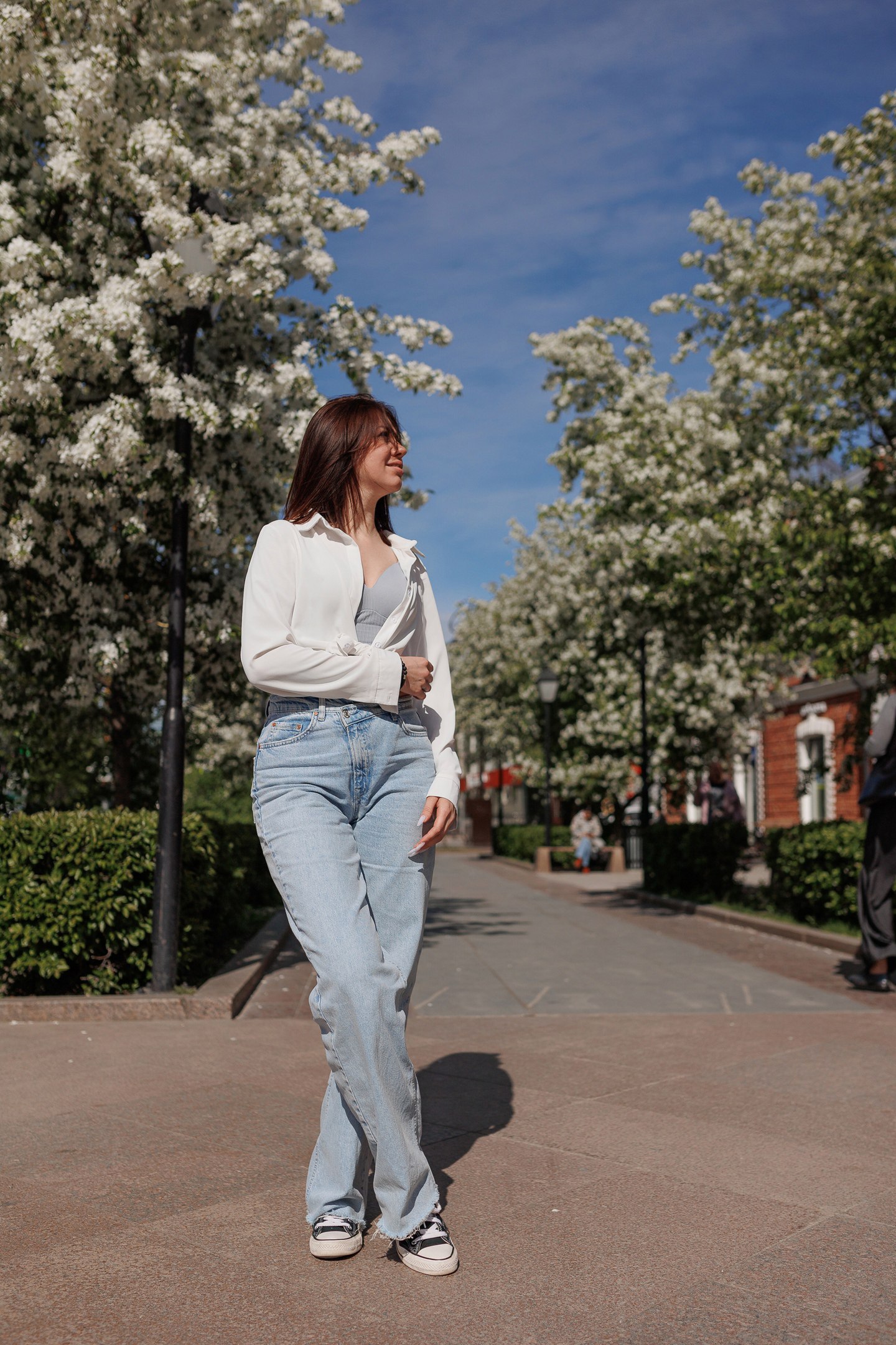 Сквер Сибирских кошек