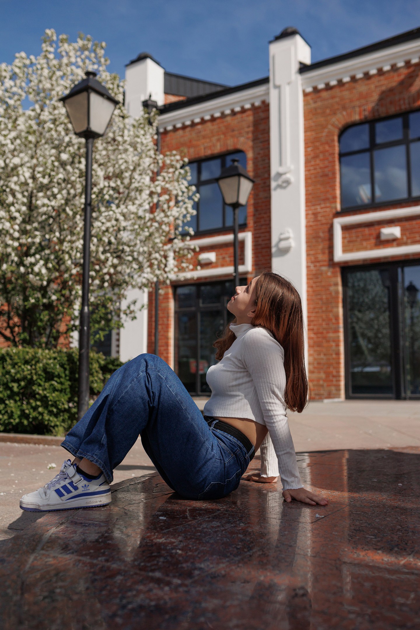 Сквер Сибирских кошек