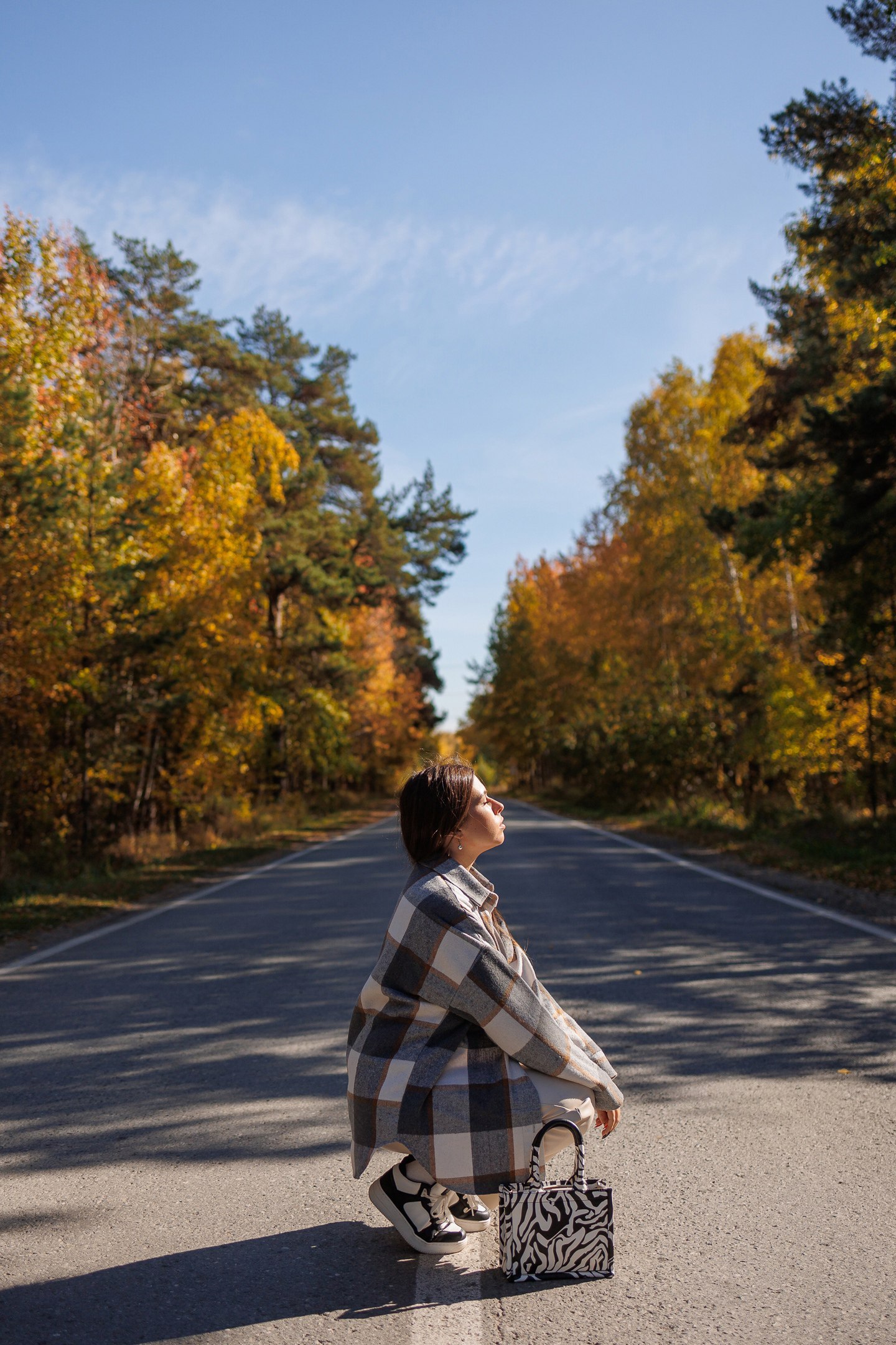 Дорога на лесной пруд