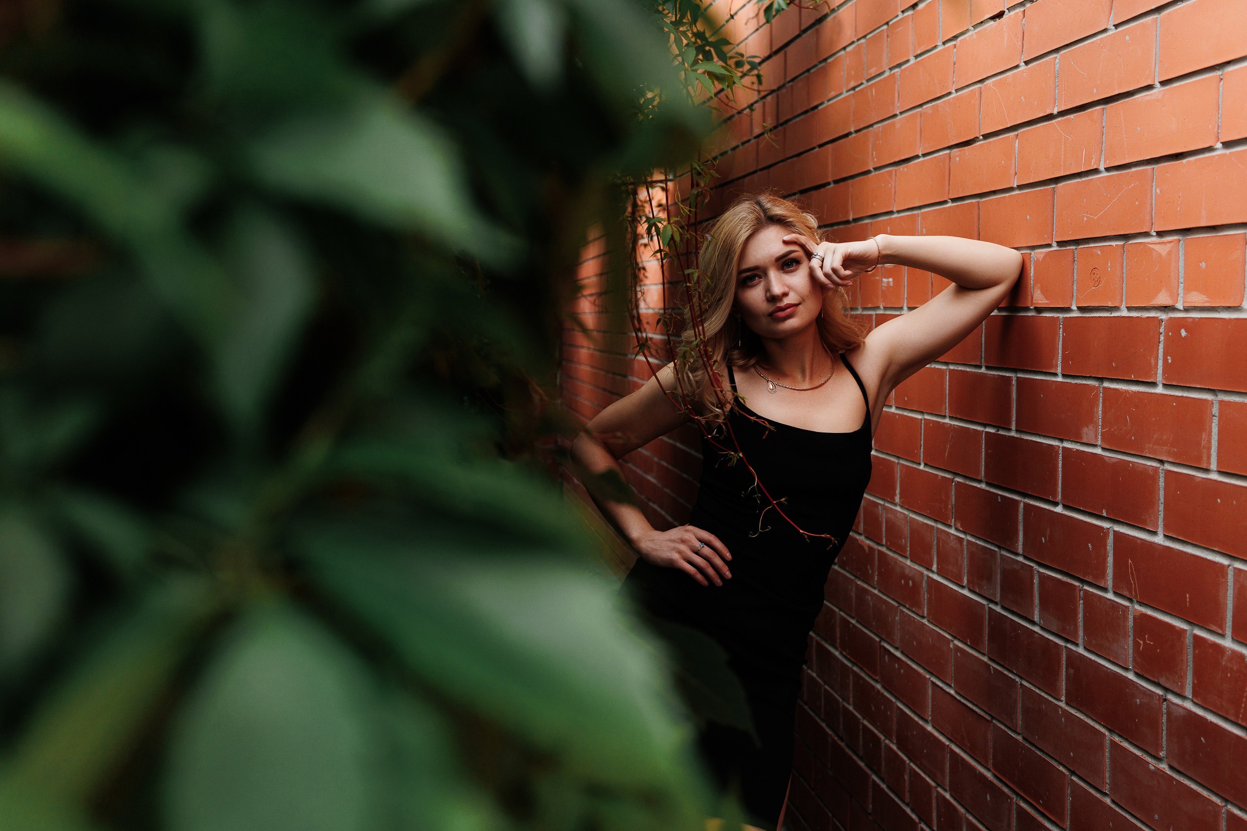 Зеленый уголок рядом с Вивальди