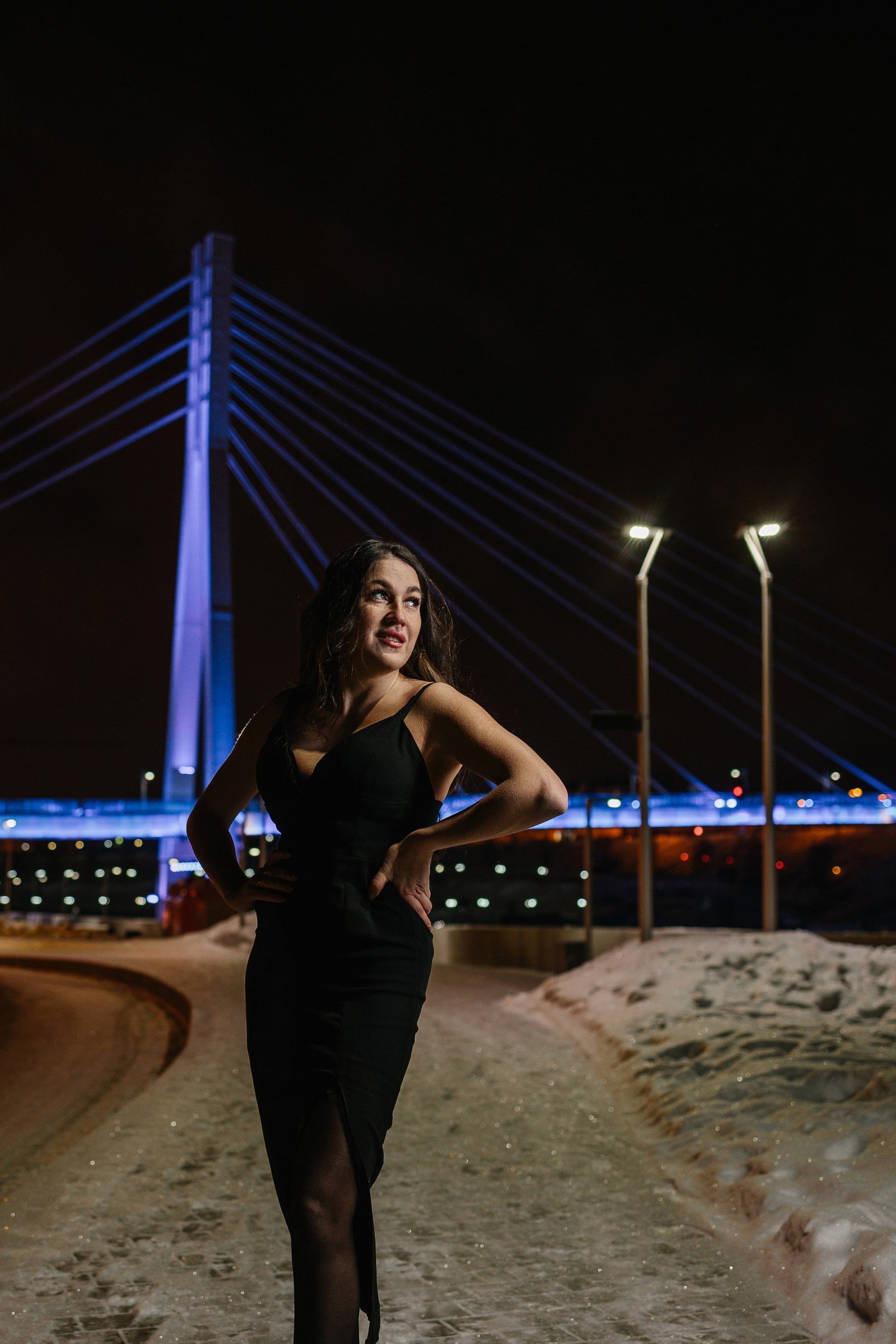 Вознесенская Набережная (левый берег)