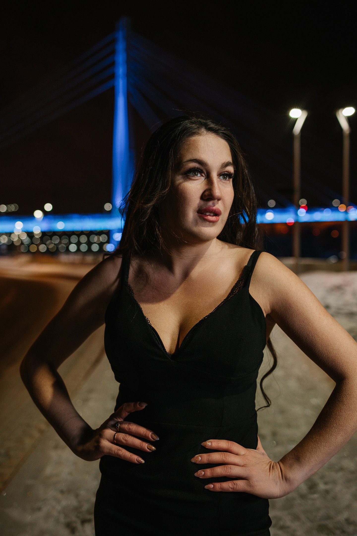 Вознесенская Набережная (левый берег)